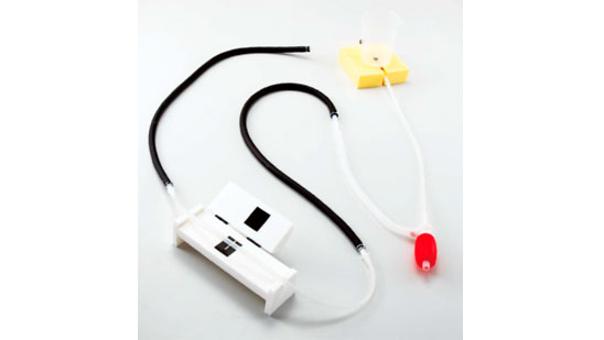 Blood Pressure Mechanism Model