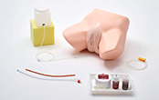 Female Catheterization & Enema Simulator