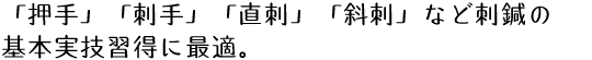 「押手」「刺手」「直刺」「斜刺」など刺鍼の基本実技習得に最適。