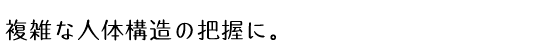 複雑な人体構造の把握に。