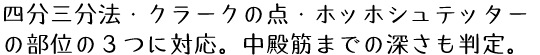 四分三分法・クラークの点・ホッホシュテッターの部位の３つに対応。中殿筋までの深さも判定。