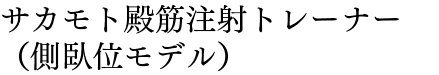 サカモト殿筋注射トレーナー（側臥位モデル）