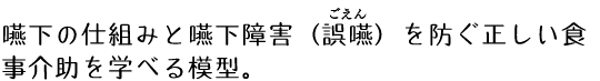 嚥下の仕組みと嚥下障害（誤嚥）を防ぐ正しい食事介助を学べる模型。