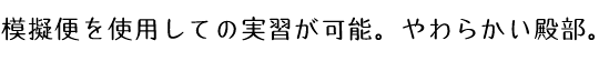 模擬便を使用しての実習が可能。やわらかい殿部。