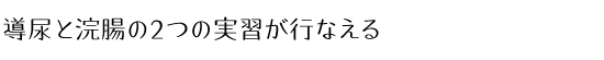 導尿と浣腸の2つの実習が行なえる